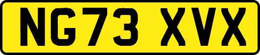 NG73XVX