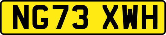 NG73XWH