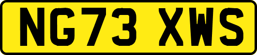 NG73XWS
