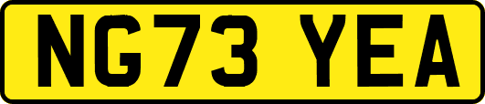 NG73YEA