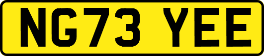NG73YEE