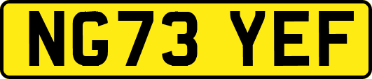 NG73YEF
