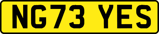 NG73YES