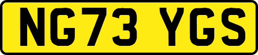 NG73YGS
