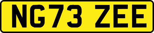 NG73ZEE