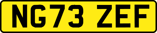 NG73ZEF