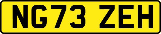 NG73ZEH