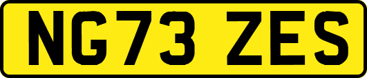 NG73ZES