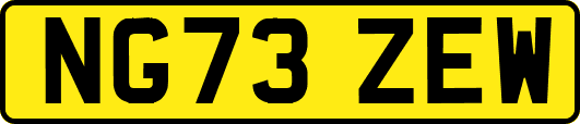 NG73ZEW