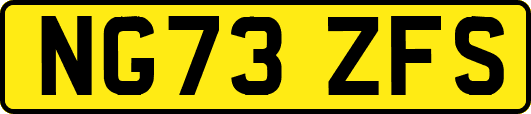 NG73ZFS