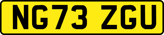 NG73ZGU