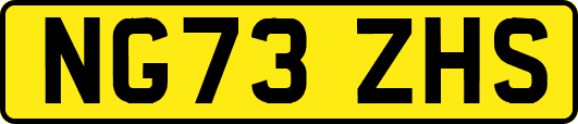 NG73ZHS