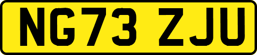 NG73ZJU
