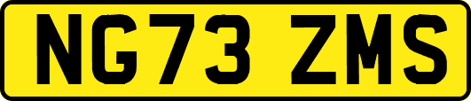 NG73ZMS