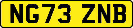 NG73ZNB