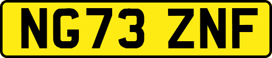 NG73ZNF