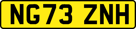 NG73ZNH