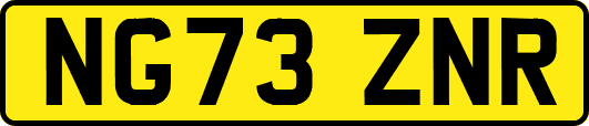 NG73ZNR