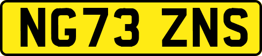 NG73ZNS