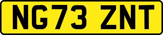 NG73ZNT