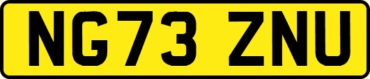NG73ZNU