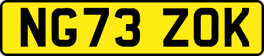NG73ZOK