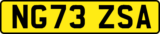 NG73ZSA