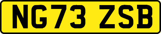 NG73ZSB