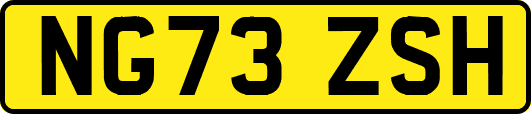 NG73ZSH
