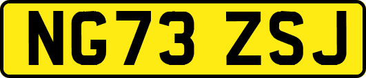 NG73ZSJ