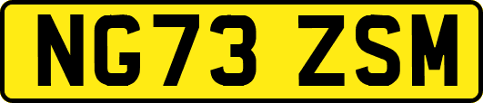 NG73ZSM