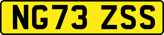 NG73ZSS
