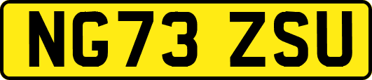 NG73ZSU