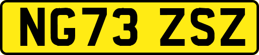NG73ZSZ