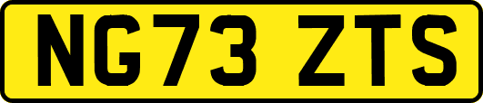 NG73ZTS