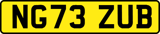 NG73ZUB