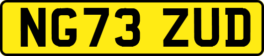 NG73ZUD