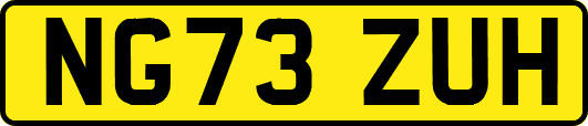 NG73ZUH