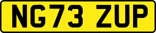 NG73ZUP
