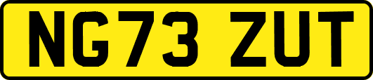 NG73ZUT