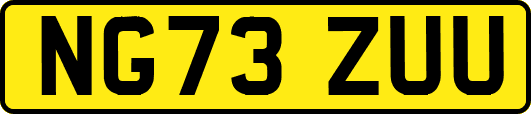 NG73ZUU