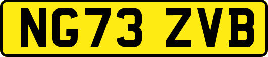 NG73ZVB