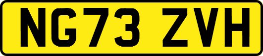 NG73ZVH