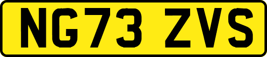 NG73ZVS