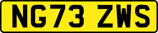NG73ZWS