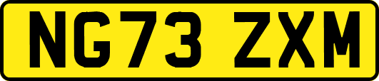 NG73ZXM