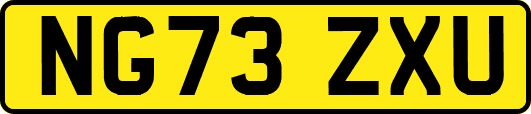 NG73ZXU