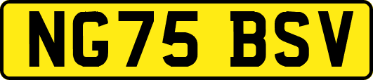 NG75BSV