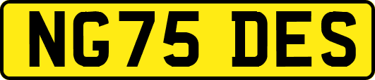 NG75DES