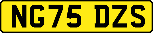NG75DZS